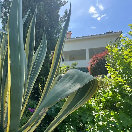 Casa Gaia